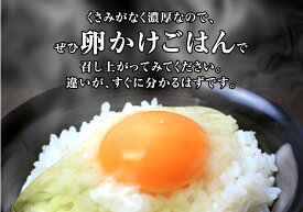 高級卵 くさみのないたまご たまご160個−L(10kg×1) 巣ごもり究極の卵 免疫アップ 濃厚です 朝採れ 採れたて 生みたて 長崎産 おいしい自然卵 ブランド卵