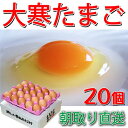 大寒たまご 20個 送料無料 縁起卵 数量限定 1年に1度の希少な大寒タマゴ