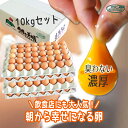 高級卵 くさみのないたまご 10kg 箱入り M:180個 L:160個 雲仙たまご 卵かけご飯 ゆで玉子 究極の卵 卵 九州 新鮮 生卵 TKG もみじたまご 鶏卵 FFC パイロゲン アレルギー 箱売り ケース 免疫アップ 濃厚 朝採れ 採れたて 生みたて 長崎産 おいしい自然卵 ブランド卵