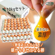 【送料無料】雲仙たまご M 10kg 180個入り 長崎島原産 ゴトウもみじ鶏 朝採り産みたて くさみなし 国産鶏…