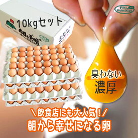 【送料無料】高級卵 雲仙たまご 10kg 業務用 M180個(162個＋破損保証18個) L160個(144個＋破損保証16個) たっぷり大容量 まとめ買い 長崎島原産 ゴトウもみじ鶏 くさみなし 卵かけご飯 TKG 製菓製パン 国産鶏卵 たまご