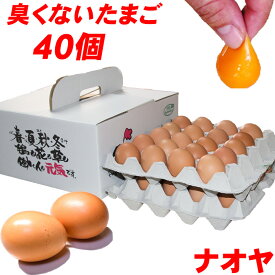 高級卵 くさみのないたまご 雲仙たまご 40個入り 送料無料 産地直送 地卵 高級卵 くさみのないたまご 巣ごもり究極の卵 免疫アップ 濃厚です