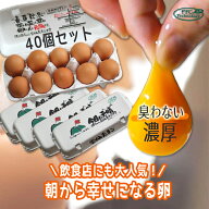 【送料無料】雲仙たまご 40個入り 10個×4パック 長崎島原産 ゴトウもみじ鶏 朝採り産みたて くさみなし …