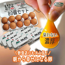 高級卵 くさみのないたまご 天晴8パック (10個×8パック) 保存しやすく友達にも お裾分け 贈答 に最適な 80個入 もみじたまご 妊婦 タンパク質 つわり 5.0kg〜9.9kg 巣ごもり究極の卵 免疫アップ 濃厚です 朝採れ 採れたて 生みたて 長崎産 おいしい自然卵 ブランド卵