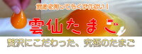 雲仙たまご20個入り(M:Lから選べます)6箱まで同梱できます卵卵かけご飯高級卵九州新鮮生卵TKGもみじたまご鶏卵アレルギー〜1.9kgお持たせお返しなどシルバーウィーク