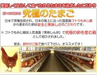 雲仙たまご20個入り(M:Lから選べます)6箱まで同梱できます卵卵かけご飯高級卵九州新鮮生卵TKGもみじたまご鶏卵アレルギー〜1.9kgお持たせお返しなどシルバーウィーク