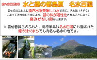 雲仙たまご20個入り(M:Lから選べます)6箱まで同梱できます卵卵かけご飯高級卵九州新鮮生卵TKGもみじたまご鶏卵アレルギー〜1.9kgお持たせお返しなどシルバーウィーク