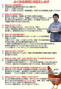 雲仙たまご20個入り(M:Lから選べます)6箱まで同梱できます卵卵かけご飯高級卵九州新鮮生卵TKGもみじたまご鶏卵アレルギー〜1.9kgお持たせお返しなどシルバーウィーク