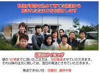 雲仙たまご20個Lサイズ送料無料卵卵かけご飯高級卵九州新鮮生卵TKGもみじたまご鶏卵アレルギー〜1.9kgお持たせお返しなど