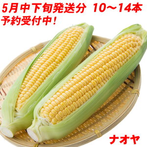 2026Nx\tI Ƃ낱 S[hbV 10`14{ 4kgȏ ꔠ Ƃ o[xL[ BBQ  B Y _ Yn   v[g ̓ Mtg
