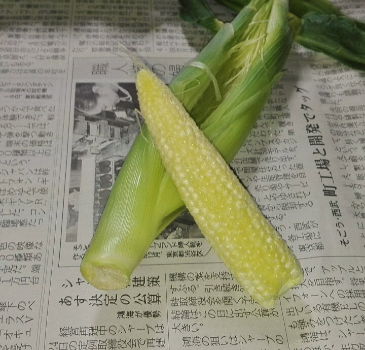 楽天市場 22年4月分予約受付中 訳あり ヤングコーン 45 55本 3 5kg以上 チルド便 送料無料 大きさ不揃い 皮付き ベビーコーン とうもろこし の赤ちゃんです 九州島原 新鮮野菜直送便 ナオヤ