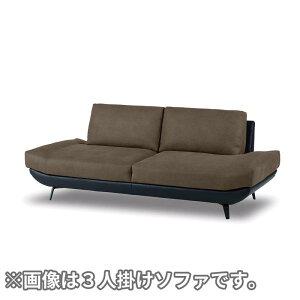 yU[ebNXz 2.5l|\t@ oJ[ vC([sAO[F) (zݒu)