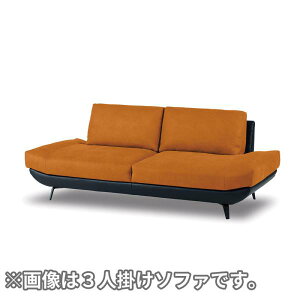 yU[ebNXz 2.5l|\t@ oJ[ vC(NIWF) (zݒu)