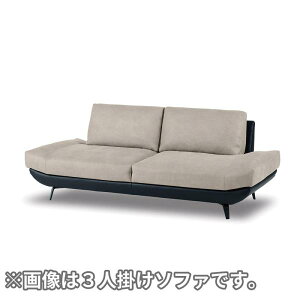 yU[ebNXz 2.5l|\t@ oJ[ vC(v`iO[F) (zݒu)