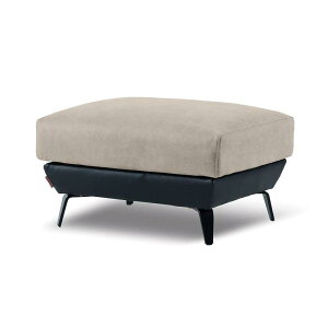 yU[ebNXz Xc[ oJ[ vC(v`iO[F) (zݒu)