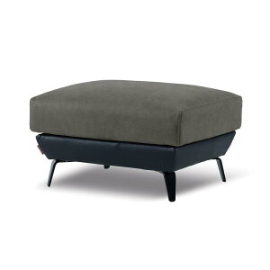 yU[ebNXz Xc[ oJ[ vC([hO[F) (zݒu)