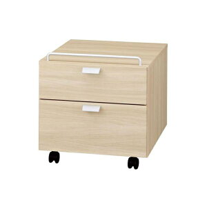 fXNS LX^[t v^ TChLrlbg { j[[NX^WI [eBeBS DD-F221 NL (zݒu)