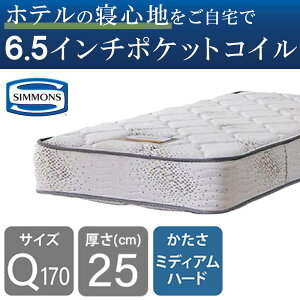 �V�����Y �}�b�g���X �x�b�h�p �|�P�b�g�R�C�� 6.5�C���` �S�[���f���o�����[2 AB16S03 �V���O�� �Z�~�_�u�� �_�u�� ���C�h�_�u�� �N�C�[��160 �N�C�[��170 �V���O���V���[�g ���{�� (�z�����ݒu)