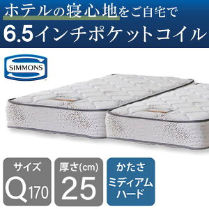 �V�����Y �}�b�g���X �x�b�h�p �|�P�b�g�R�C�� 6.5�C���` �S�[���f���o�����[2 AB16S03 �V���O�� �Z�~�_�u�� �_�u�� ���C�h�_�u�� �N�C�[��160 �N�C�[��170 �V���O���V���[�g ���{�� (�z�����ݒu)