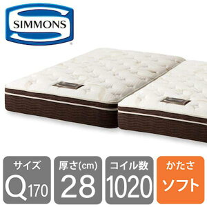 VY@6.5GbZVX}[gSF@AB17S01iNC[170}bgX2j (zݒu)