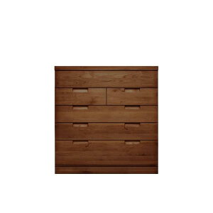 ステラスタンダード 102−5段 D=45/入浅タイプ (ウォールナット) (配送員設置)