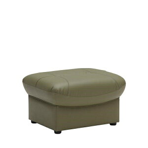 Ibg} Xc[ U[ ֎q `FA u { JN Xc[ Z12156SPG [Nv OXO[ (zݒu)