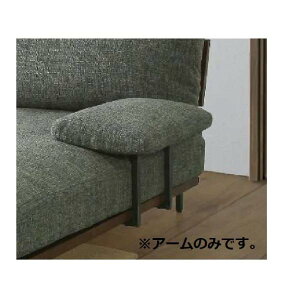 A[@NbVA[@_Ci@s[RbN (֐您n qlgi)