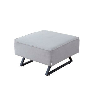 Xc[@oeBII65@CgO[ @ACh\t@(zݒu)