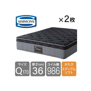 �m�V�����Y�n�@8.25�G�b�Z���V�����u���b�N�J�X�^��MD�i�N�C�[��170�}�b�g���X 2�����j (�z�����ݒu)