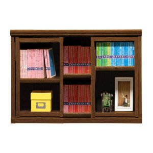 本棚 おしゃれ 収納 棚 ラック コミックラック 家具 書籍 漫画 書棚 スライド SOK72 幅100×高さ60 ブラウン (配送員設置)