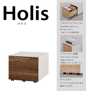 fXNS S LX^[t  i` S Holis(zX) DD-HF210-DW (zݒu)