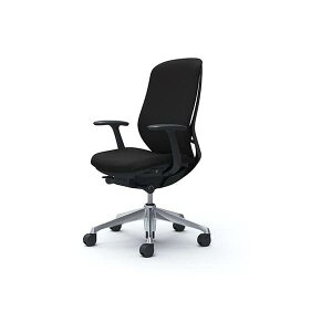 IJ fXN`FA VtB[ Sylphy C647BR-FSF1BKnCobN NbVfUCI A~rBKt[?(zݒu)