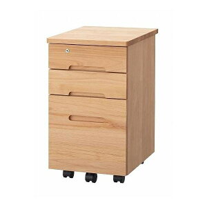 xc؍H fXNS S LX^[t ؐ ؖ i` S tHX^ 3000 XS NA(i`) (zݒu)