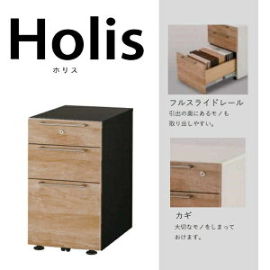 fXNS S LX^[t ؖ i` fXNS([ujbgW314) Holis(zX) DD-HF190-NB (zݒu)