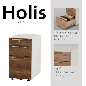 fXNS S LX^[t ؖ i` fXNS([ujbgW314) Holis(zX) DD-HF190-DW (zݒu)