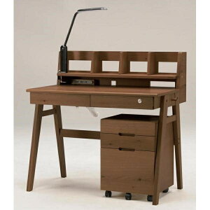 fXNS S LX^[t ؖ i` g݊^fXNSUNKNOT(MS)WN (zݒu)