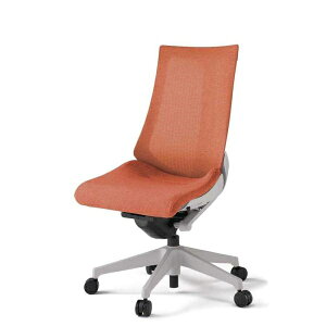 ItBX`FA [N`FA  LX^[ ݑ ANg`FA eNX`[hbVEnCobNEr p[VOR (zݒu)