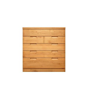 ステラスタンダード 102−5段 D=45/入浅タイプ (ナチュラル) (配送員設置)