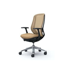 IJ fXN`FA VtB[ Sylphy C645BR-FMP7BEnCobN bVfUCI A~rBKt[?(zݒu)