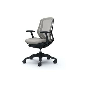 �I�J�����@�f�X�N�`�F�A�@�V���t�B�[�@Sylphy�@C641XR�|FMR3LGY���[�o�b�N�@���b�V���f�U�C���I�@�����rBK�t���[��(�z�����ݒu)