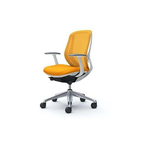 IJ fXN`FA VtB[ Sylphy C641BW-FMR8OR[obN bVfUCI A~rWHt[(zݒu)