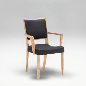 ynzyJNz _CjO`FA _eA[`FA(It) C19720 ؕFXeBbNI[N/vE317 (zݒu)