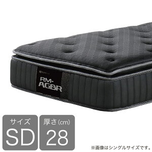 Z~_u}bgX@t@Co[|Pbgplus@RM|REBK (zݒu)