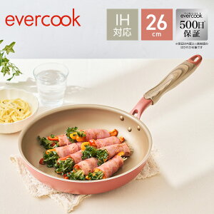 yIHΉE500ۏ؁zevercook tCp26cm ~XeBsN F hEVV tCp y Ă EIFP26MPKyz