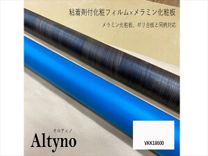 ACJ ACJHƁ@IeBmPF@Altyno@SܕtσtB@SV[g@V[gtB@DIY@ǎ@NX@tH[VKK-18600