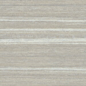 ~ϔ ؖځiLdグERؖځj AN-2580KM 4x8 ؖڒ R