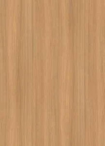 ϖՉύ ACJ}[X{[h v~AeNX`[@ؖ BBQ2006 4x8 G@