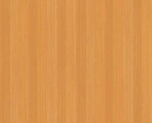 ~ϔ ACJECeNgPlus EJY2010K 4x8 o[`@