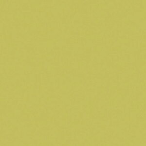 ~ϔ J[VXetBbgiANZgJ[j K-6627KN 4x8 \ʃG{Xinjd