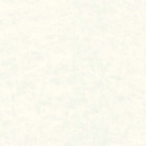 ~ϔ oG[V(a) LJ-10027K 4x8